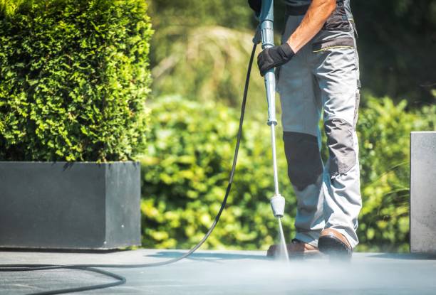 Best Driveway Pressure Washing  in Sebastian, FL